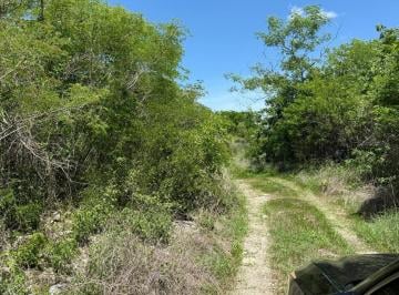 Terreno / Lote Venta 1003ha · Venta de Terreno de 1000 m² en Komchen