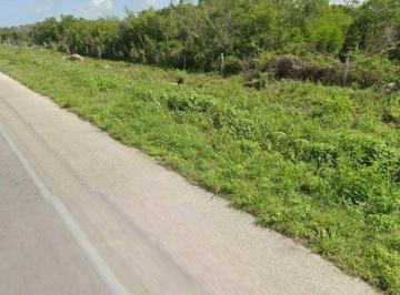 Terreno / Lote en Venta · Terreno en Venta en Chicxulub Pueblo, Yucatán
