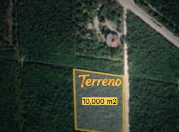 Terreno / Lote · 10000m² · Terreno - Alfredo V. Bonfil