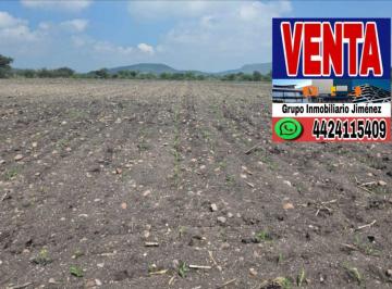 Terreno / Lote · 50000m² · Terreno - Pedro Escobedo