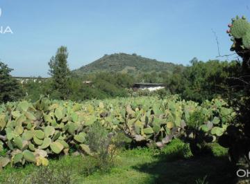 Terreno / Lote · 24000m² · Terreno en Venta de 24,000 m² | San Martín de Las Pirámides | Estado de México