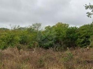Terreno / Lote · 2343m² · Terreno Residencial en Venta en Pueblo Dzitya