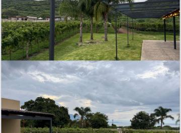 Terreno / Lote , Jocotepec · Terreno en Venta en Fraccionamiento Azul del Lago, Jocotepec