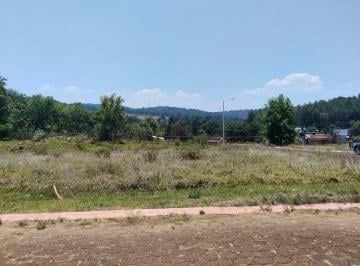 Terreno / Lote , Charo · Venta de Terreno en Pontezuelas, Mpio. de Charo.