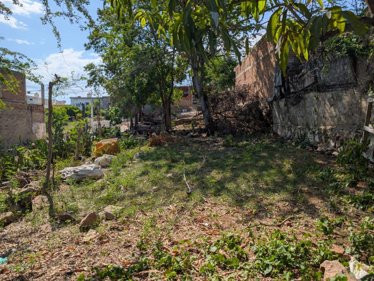 Lot for Sale in Flores Magon Neighborhood – Ideal Space for Your New Project
