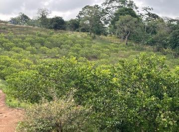 Terreno / Lote · 73828m² · Terreno - Pueblo La Estanzuela