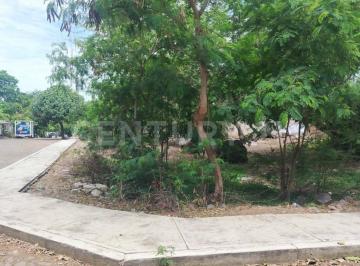 Terreno / Lote · 719m² · Venta de Terreno El Buenavista Mpio de Cuauhtemoc