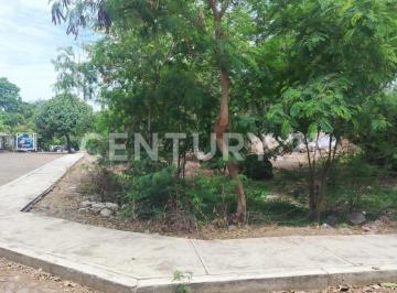 Terreno / Lote · 719m² · Venta de Terreno El Buenavista Mpio de Cuauhtemoc.