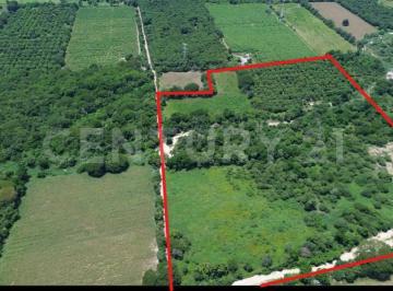 Terreno / Lote · 62964m² · Venta Terreno Para Urbanizar Manzanillo