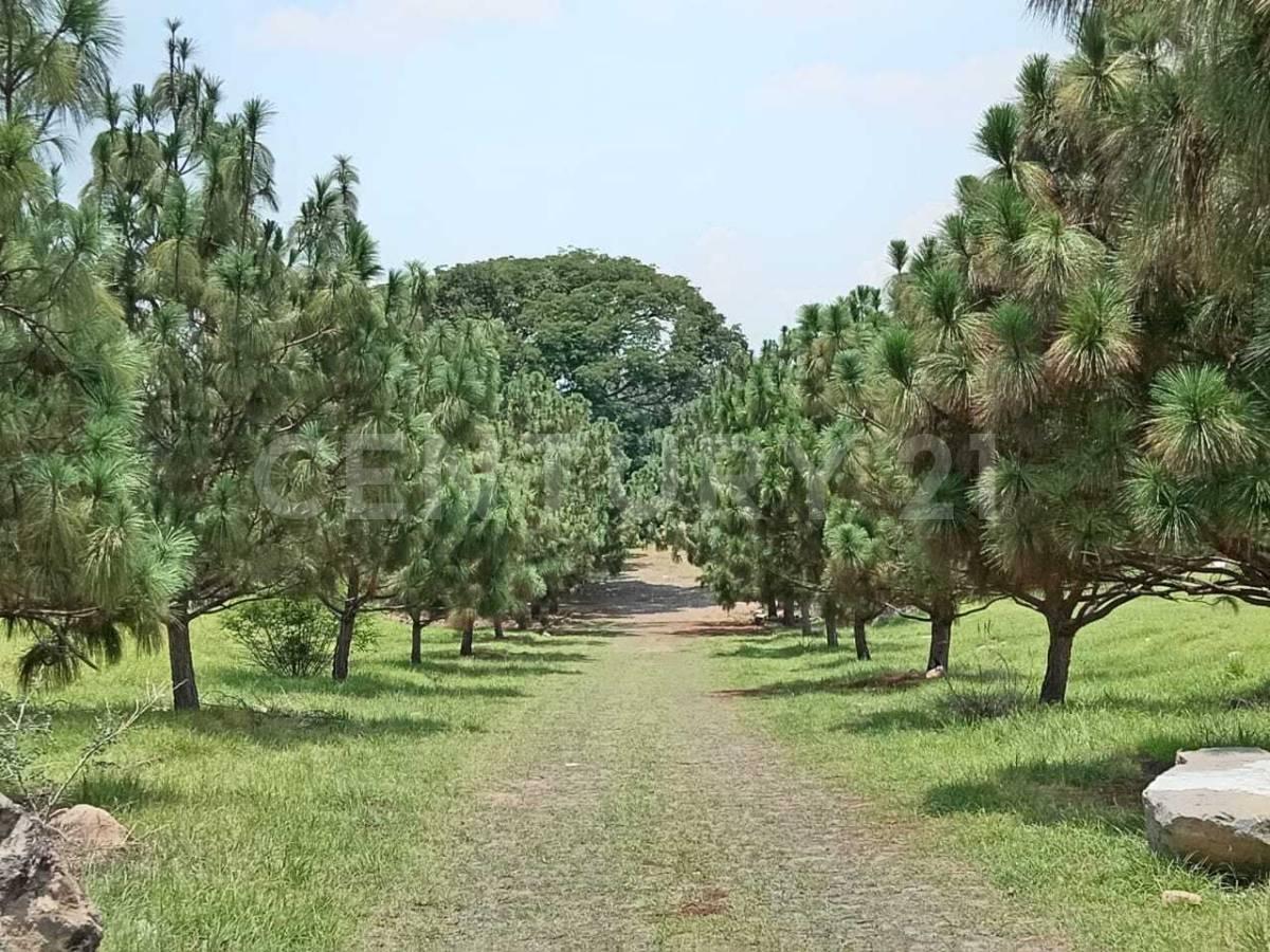 Residential Plots for Sale in San Rafael Subdivision, Cuauhtémoc, Colima