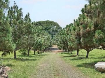 Terreno / Lote · 300m² · Terrenos Habitacionales en Venta en Fraccionamiento San Rafael Cuauhtémoc Colima