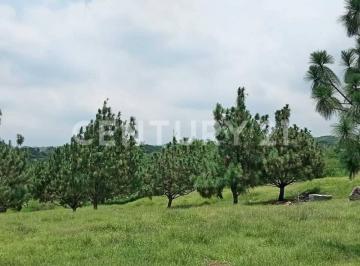 Terreno / Lote · 283m² · Terreno San Rafael, Cuauhtemoc, Colima