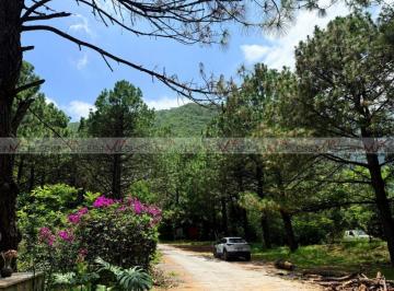 Terreno / Lote · 1232m² · Terreno / Lote en Venta en Cieneguilla