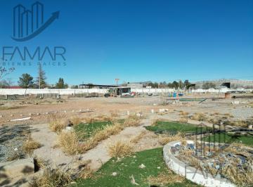 Terreno / Lote · 10000m² · Terreno en Venta en Carretera Aldama