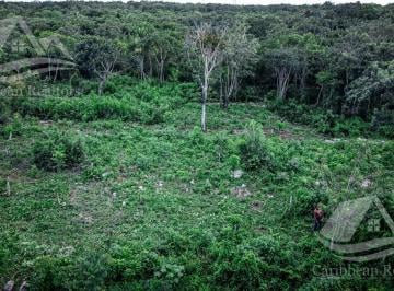 Terreno / Lote · 7505m² · Terreno a La Venta Cancun