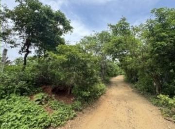 Terreno / Lote · 303m² · Terreno en Santa María Tonameca