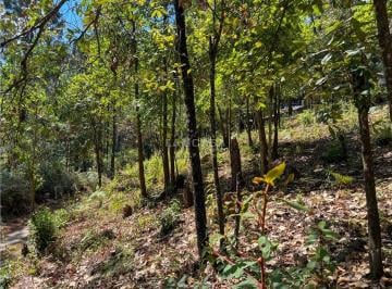 Terreno / Lote , Valle de Bravo · Terreno en Venta|entorno Boscoso|avandaro|valle de Bravo