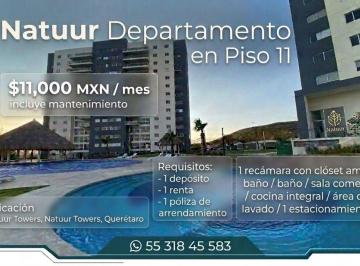 Departamento de 1 habitación, Tequisquiapan · Natuur Piso 11 Departamento $11.000