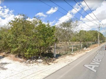 Terreno / Lote · 5000m² · Terreno en Venta Cancun Calle Ciricote Alamos 2