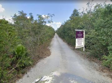 Terreno / Lote · 5000m² · Terreno en Venta Cancun Calle Ciricote Alamos 2