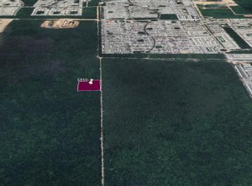 Terreno / Lote · 10074m² · Terreno en Venta en Solidaridad Quintana Roo
