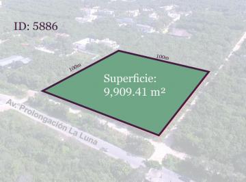 Terreno / Lote · 9909m² · Terreno en Venta Prolongación La Luna y Álamos II Cancun Quintana Roo