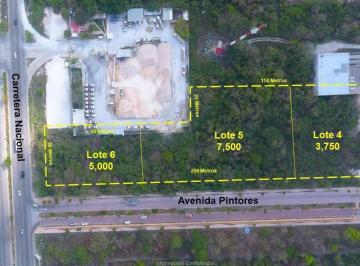 Terreno / Lote · 16250m² · Terreno en Venta Playa del Carmen Sobre Av Pintores