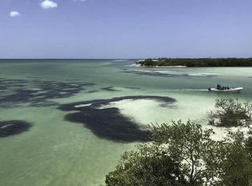 Terreno / Lote · 949m² · Terreno en Venta en Holbox a 600 m de La Playa Cocos