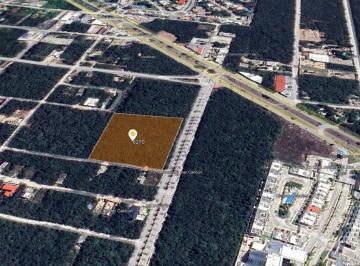 Terreno / Lote · 10000m² · Terreno en Venta en Alfredo Bonfil