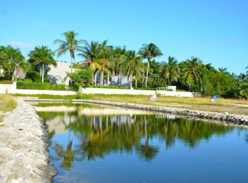 Terreno / Lote · 393m² · Terreno en Venta Isla Dorada Zona Hotelera Cancun Lote 14