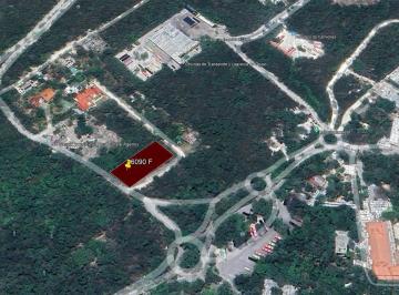 Terreno / Lote · 4076m² · Terreno en Terreno Xcaret Lote E Carretera Playa del Carmen - Tulum