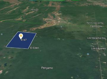 Terreno / Lote · 14790000ha · Terreno en Terreno en Venta El Eden