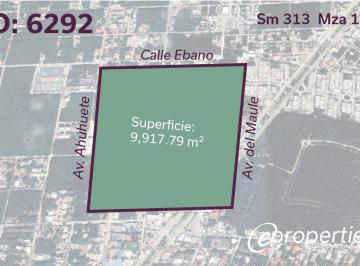 Terreno / Lote · 9917m² · Terreno en Venta en Zona 5 Calle Ebano