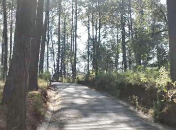 2843d2128fb20374f0c0b6cfcb3719c616230b16130a2953641a34972c934541 · Terreno en Venta en Camino a Cerro Gordo