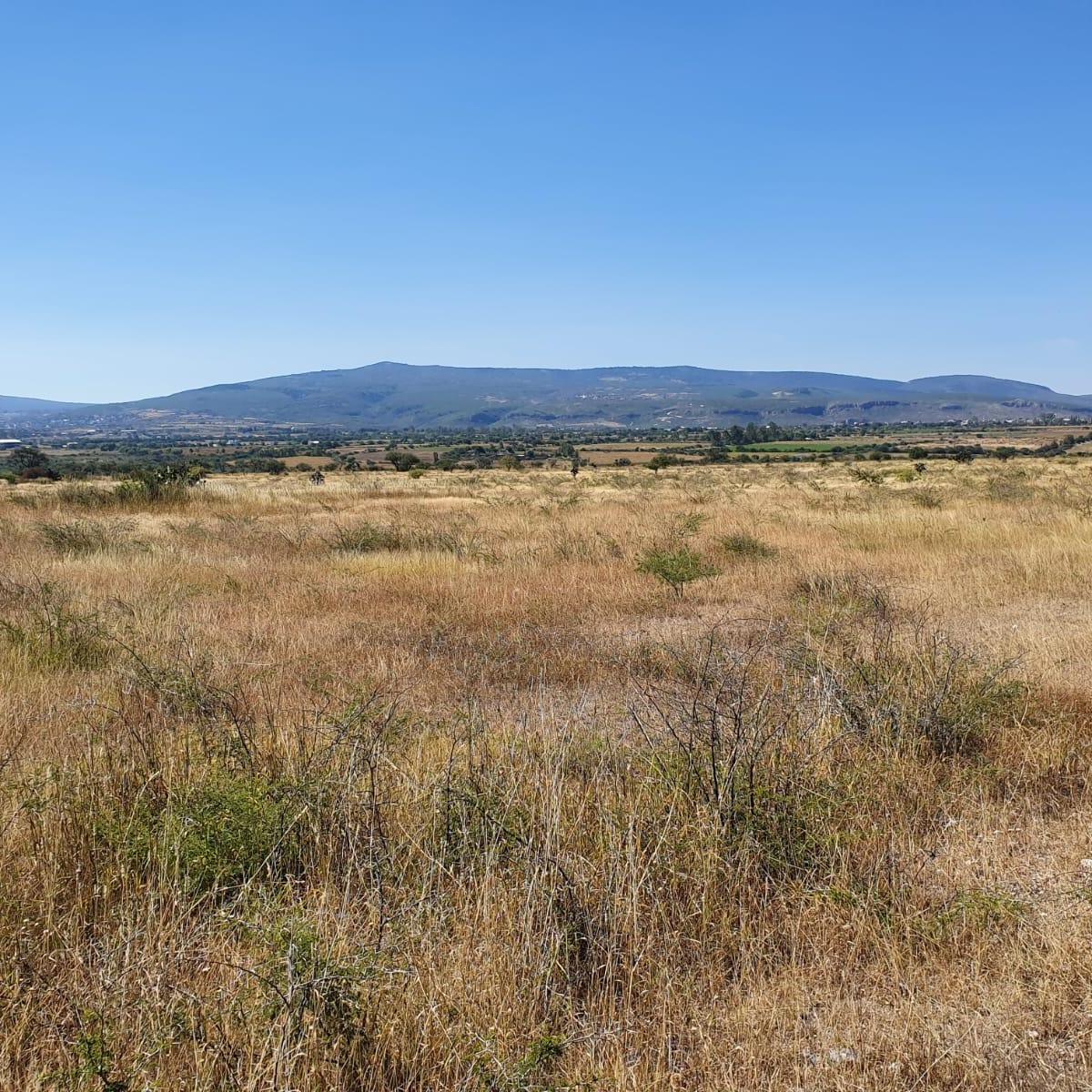 Venta de Terreno en Apaseo El Alto, Guanajuato.