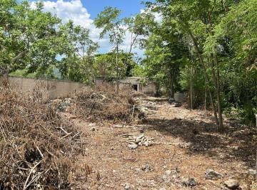 Terreno / Lote , Hunucmá · Terreno en Venta Hunucmá, Yucatán, Una Oportunidad Única