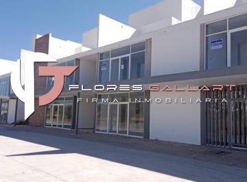 Local comercial · 66m² · 36 Estacionamientos · Locales en Renta en El Fracc. Ruscello Al Norponiente de La Ciudad de Aguascalientes