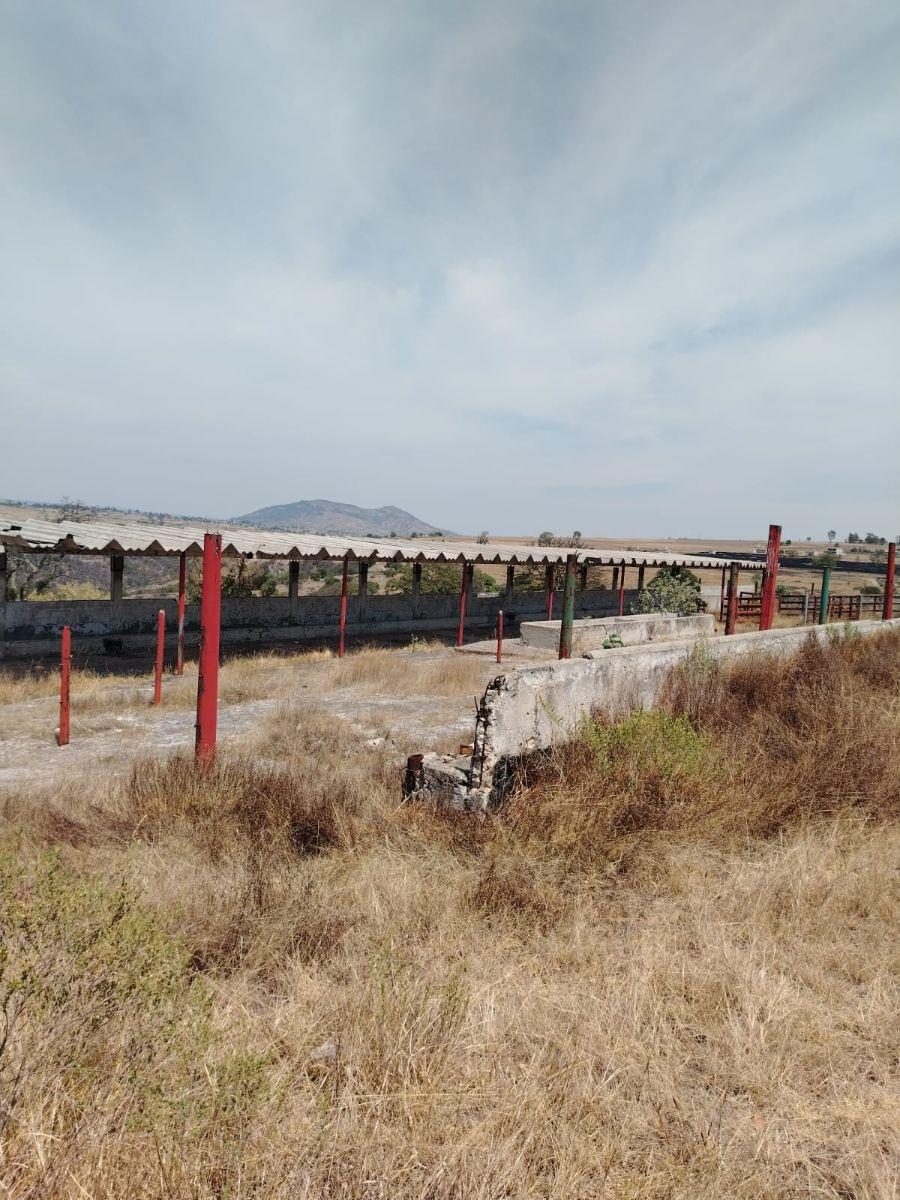 Rancho de 25 Ha en Venta en La Concepción, Aculco, Edo. de México