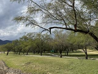 Terreno / Lote · 1500m² · Terreno en Venta en Valle de Venado Zona Carr. Nacional (Ljgc)