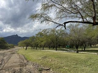 Terreno / Lote · 1507m² · Terreno en Venta en Valle de Venado Zona Montemorelos Carretera Nacional (Ljgc)