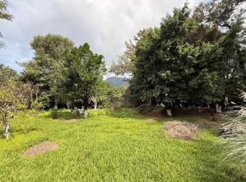 Terreno / Lote , Tepoztlán · Terreno en Santo Domingo