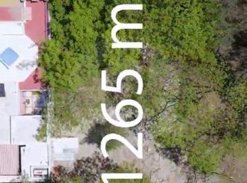 ad64009c-f978-4cee-9cb3-a7ec40d51cc3.jpg · Terreno Residencial en Venta en San Antonio Tlayacapan