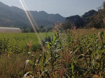 1000022833.jpg · Paraje El Potrero de Amelcingo: Terreno Comercial en Venta en San Juan