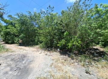 Terreno / Lote , Benito Juárez · Oportunidad Única Para Desarrolladores E Inversionistas en Cancún Terreno Zona Huayacan 50 X 50 m