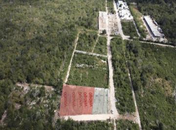 1 · Terreno en Venta en Temozon Norte Merida