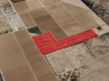Terreno comercial · 150000m² · Terreno en Venta en El Olivo, Matamoros Coahuila