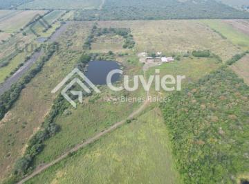 Rancho · 16600m² · Rancho en Altamira
