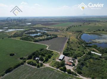 Rancho · 2250000ha · 3 Recámaras · Rancho en Tampico