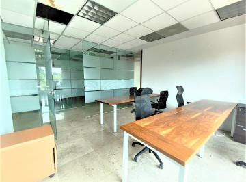 Oficina · 360m² · 12 Estacionamientos · Oficina en Renta en Lomas de Chapultepec Corporativo Palmas I (M²o3064)