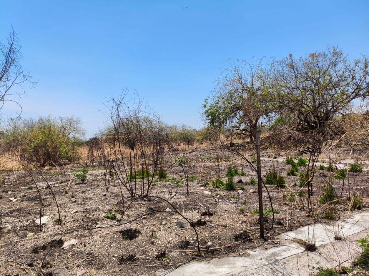 Land for Sale in Mirador de Oaxtepec Residential Development